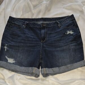 Women's Distressed Denim Shorts Size 18W